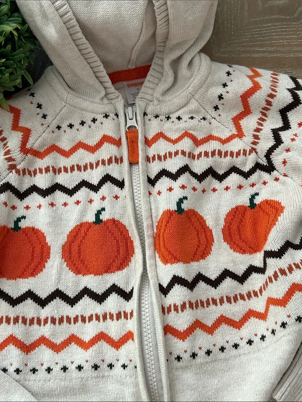 Gymboree Fall Harvest Pumpkin Cream Hooded Zip Cardigan Sweater